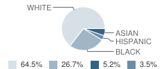 Valley Fellowship Christian Academy Student Race Distribution