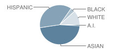 Mountain View Academy Student Race Distribution