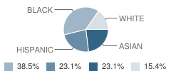 Tall Ship Education Academy Student Race Distribution