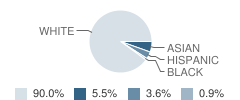 Trinity School Student Race Distribution