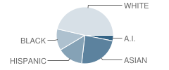 Achievekids School Student Race Distribution