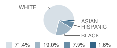 Intensive Education Academy Student Race Distribution