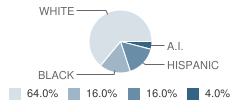 Conservatory Preparatory Senior High School Student Race Distribution