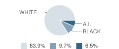 Incredible Horizons Academy Student Race Distribution