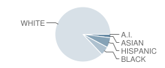 First Academy Student Race Distribution