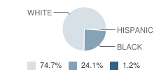 Halifax Academy Student Race Distribution