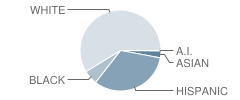 Tampa Catholic High School Student Race Distribution