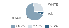 Victory Christian Academy Student Race Distribution