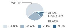 Pacelli High School Student Race Distribution