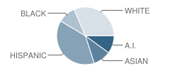 Little Fox Day School Student Race Distribution