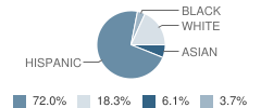 Midwestern Christian Academy Student Race Distribution