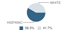 Mosaic Early Childhood Academy Student Race Distribution