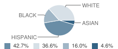 Sacred Heart School Student Race Distribution