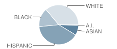 St Benedict High School Student Race Distribution