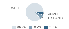 St Constance Elementary School Student Race Distribution