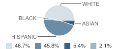 St Ferdinand Parish School Student Race Distribution