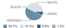 St Viator Elementary School Student Race Distribution