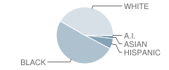 Family Christian Academy Student Race Distribution