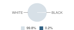 Our Lady of the Lake School Student Race Distribution