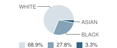 Redemptorist High School Student Race Distribution