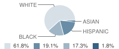 Dearborn Academy Student Race Distribution