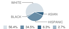 St Patrick Elementary School Student Race Distribution