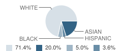 Stoneleigh Burnham School Student Race Distribution