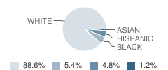 The Cambridge School of Weston Student Race Distribution