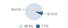 The Mill School Student Race Distribution