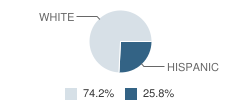 Daystar Christian Academy Student Race Distribution