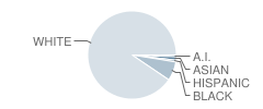 Oakland Christian School Student Race Distribution