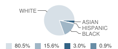 Roeper City & Country School Student Race Distribution