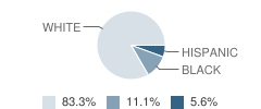 Waterford General Baptist Academy Student Race Distribution