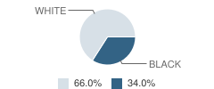 Antioch Baptist Academy Student Race Distribution