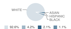 Weddington Christian Academy Student Race Distribution