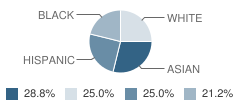 Hudson View Christian Academy Student Race Distribution