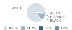 Little Flower Elementary School Student Race Distribution