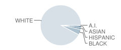 St Edward High School Student Race Distribution