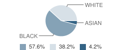 St Martin of Tours School Student Race Distribution