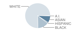 The Lillian and Betty Ratner School Student Race Distribution