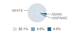 St Joan of Arc School Student Race Distribution