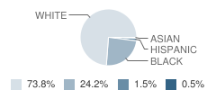 Benedictine High School Student Race Distribution