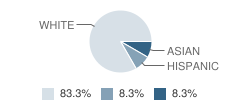 Unity School, Inc. Student Race Distribution