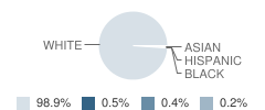 Bishop Hannan High School Student Race Distribution