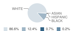 Central Catholic High School Student Race Distribution