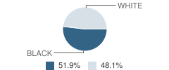 Holy Family Institute School Student Race Distribution