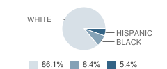 Northside Christian School Student Race Distribution