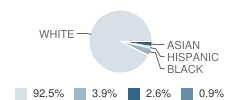 St Cecilia Academy Student Race Distribution