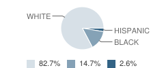 Chesapeake Bay Academy Student Race Distribution