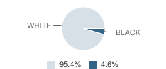 Virginia Beach Friends School Student Race Distribution